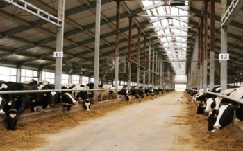 Kanpack livestock